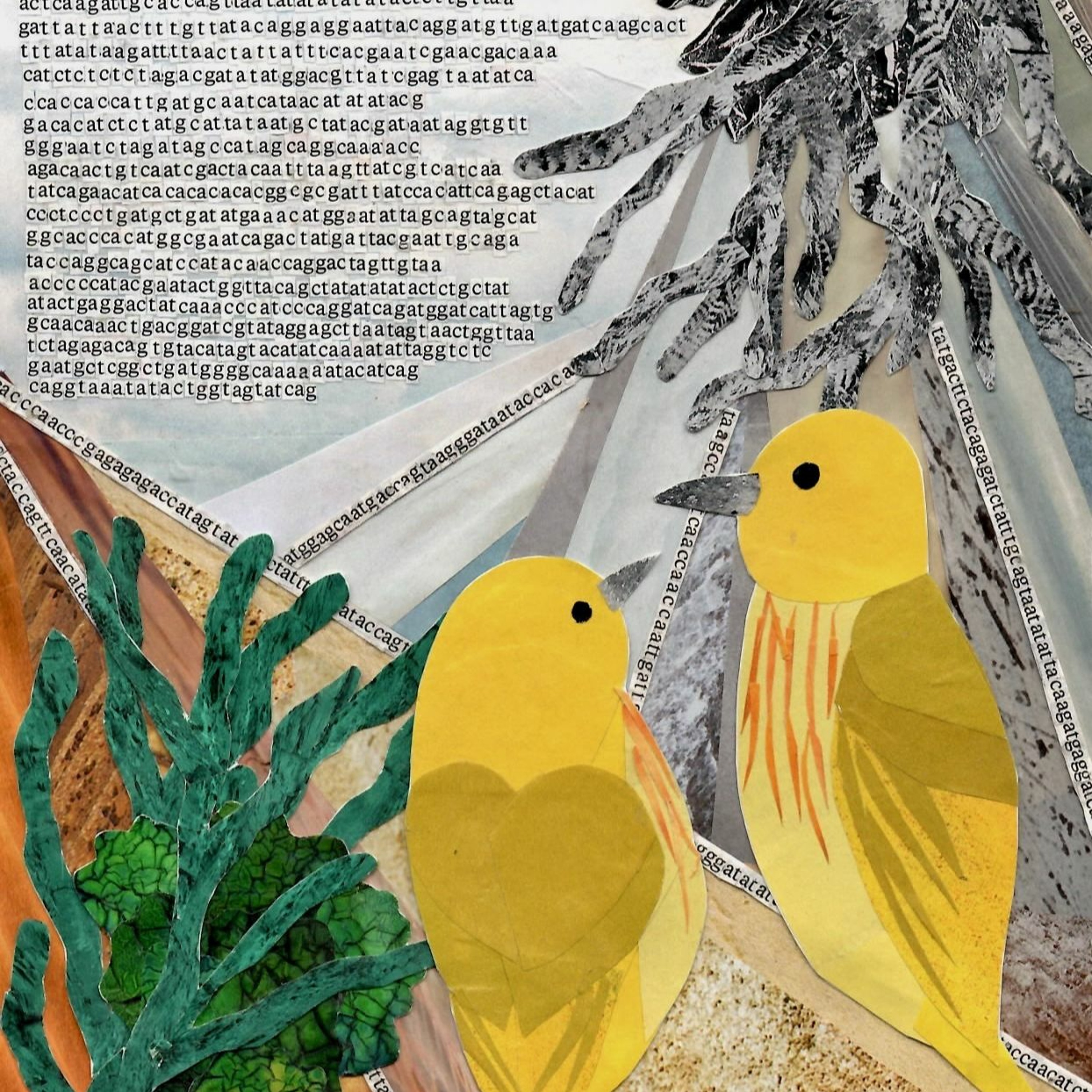 RadioBio