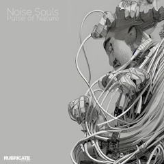 Noise Souls 'Slam' [Rubricate Records]