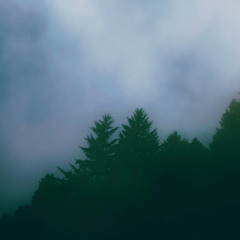 Echoes of Heaven
