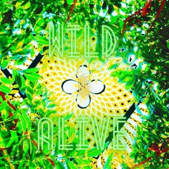 WILD & ALIVE