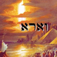 Parshat VaEira – Why Ten Plagues?