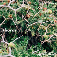 thorns (6/3/22)