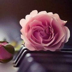 انا لحبيبي وحبيبي الي