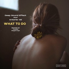 Deep Sound Effect Feat. Antonia Vai - What To Do (Original Mix)