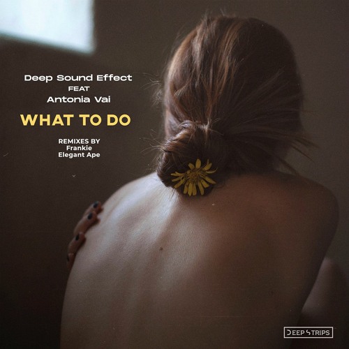 Deep Sound Effect Feat. Antonia Vai - What To Do (Original Mix)