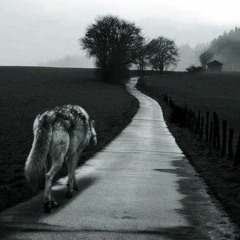 Road To Tomorrow