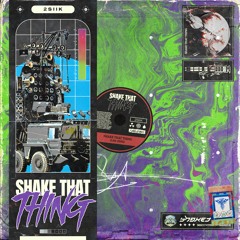 Shake That Thing (Original Mix)