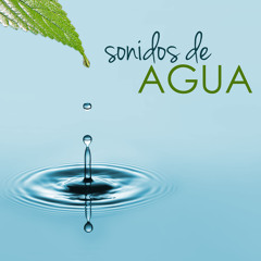 Descubrir (Sonido del Mar)