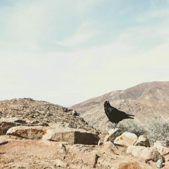 Linus Schrab - Growth (Leaves Will Reason EP)