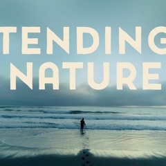 Tending Nature