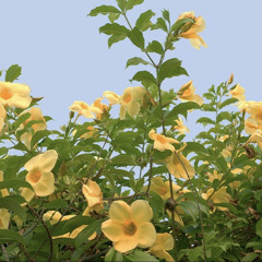 EXOSKELETON (prod. stoic)