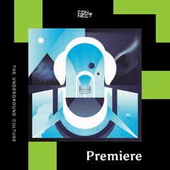 PREMIERE: Alex Burkat and Kin Teal - Northern Lights (Aerial Remix) [Moving Pictures]