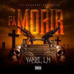 DEMBOW DOMINICANO 🇩🇴