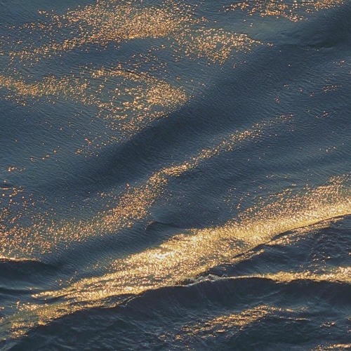 Lưu Lạc - Chu Tinh Tinh - 流離 - 周星星
