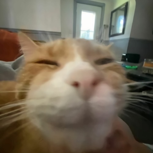 weial - end w/ moodyriley + yarn