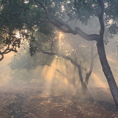 Vạt Nắng Ngoài Xa