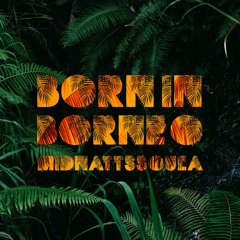 Mix of the Week #395: midnattssoula - Born In Borneo