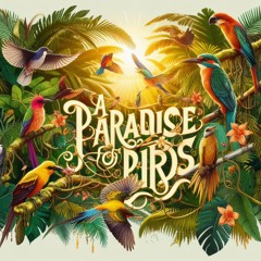 Paradise Of Birds