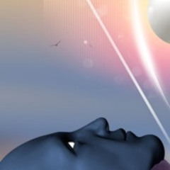 Transmigration