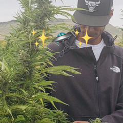 So Misleading (prod by.Mykal Riley)