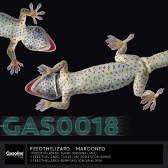 Feedthelizard - Tukay (original mix) - Gasoline Records // OUT SOON