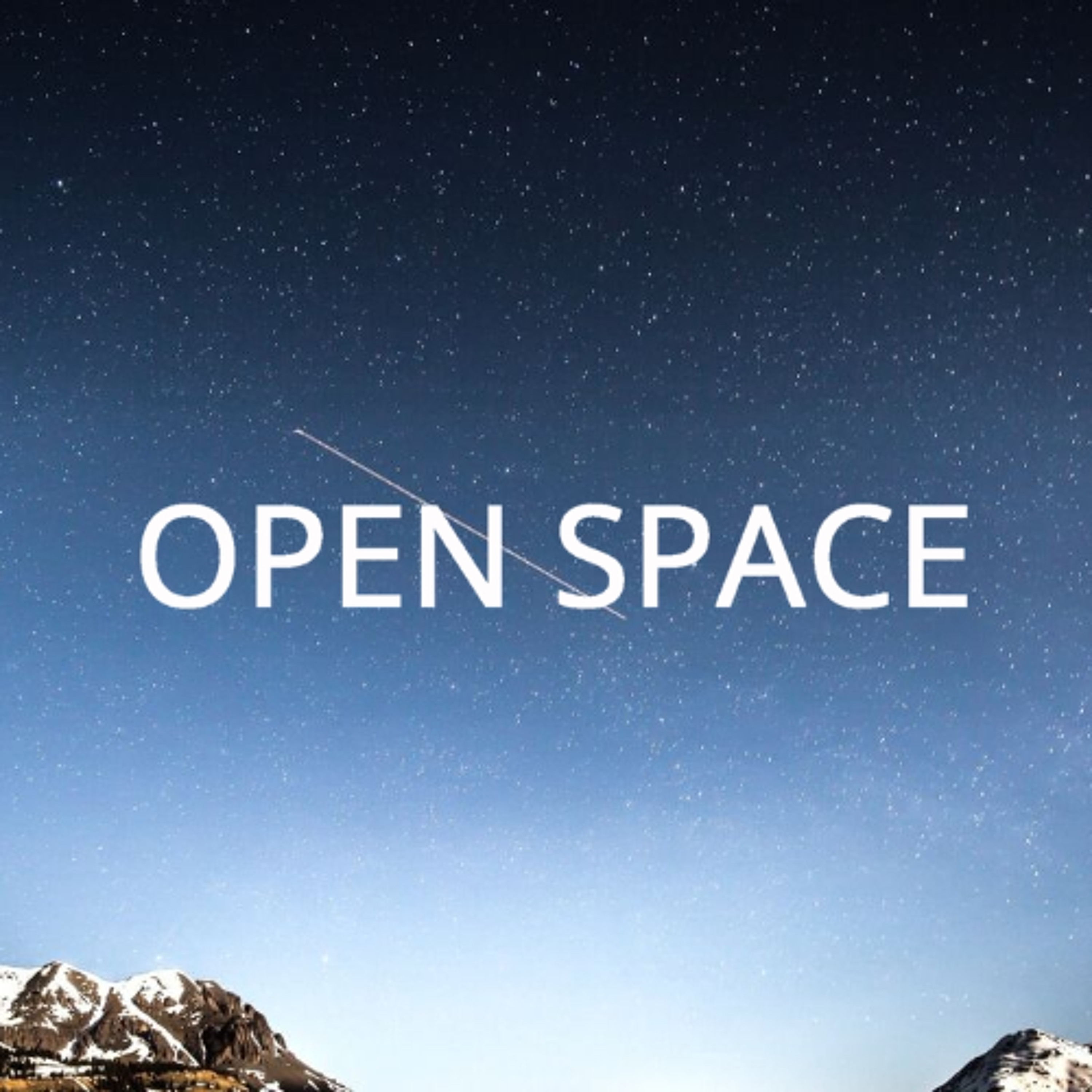 Open Space Session vom 04.02.2026 mit Sohini und Nalan Streiter episode artwork