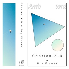PREMIERE: "EVERYTHING" - CHARLES.A.D *Free Download*