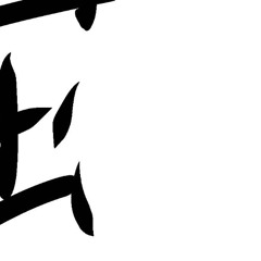 𝓜𝔂𝓼𝓽𝓲𝓬𝓪𝓵 𝓜𝓪𝓰𝓲𝓬𝓪𝓵 𝓣𝔀𝓲𝓷𝓴𝓵𝓮 𝓐𝓲𝓻𝓲