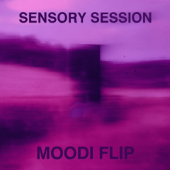 Sensory Session (MOODi Flip)