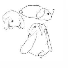 206 bones to pick