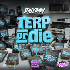Terp Or Die