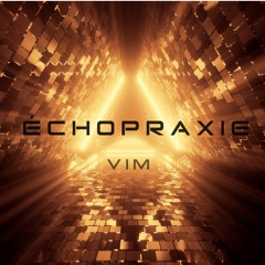 Vim - Échopraxie