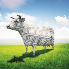 Cash Cow (prod. GRAVEYARD)