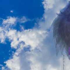 sei still, küss mich, halt mich eng