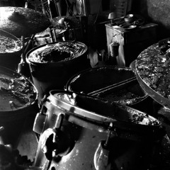 Laws & Rehearsal #33