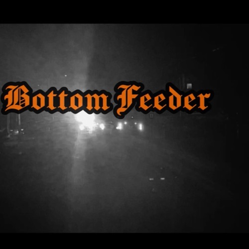 Stream Bottom Feeder by EARTHWORM CIRCUITRY Listen online for free on