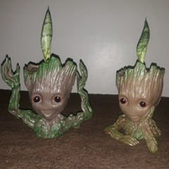 Cry - Mandy Moore (Ukulele practice) #QuarantineLife2020