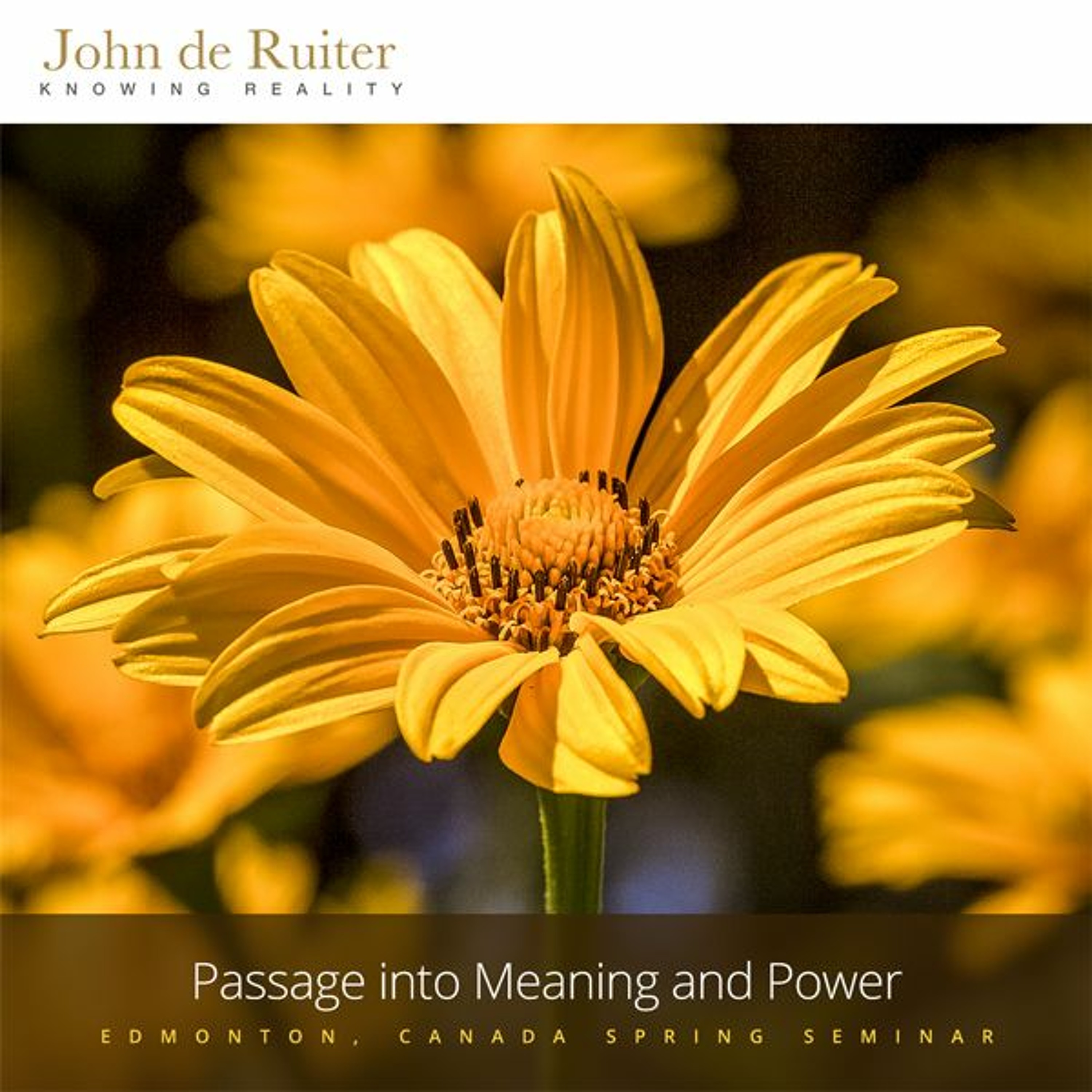 264 - Passage into Meaning and Power - 1 of 1 episode artwork