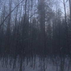 sk8star - my thoughts [kilocominup]