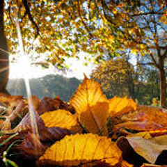 (DEEP HOUSE) HELLO AUTUMN 2024//(29) TRACKS.FROM THE PRESENT //07/09/2024//EARLY ON