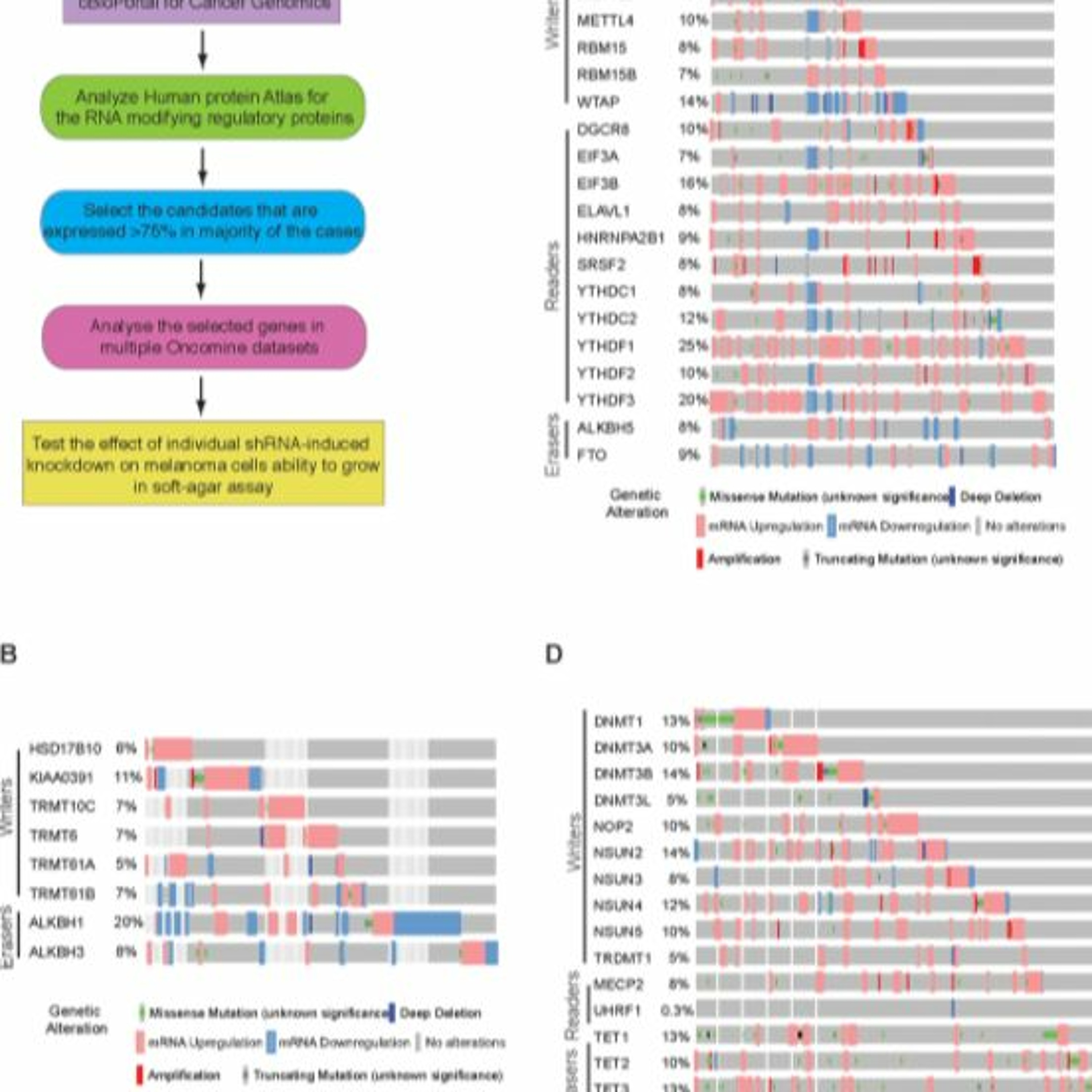 Oncotarget
