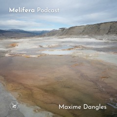 Melifera Podcast ⬡ Maxime Dangles