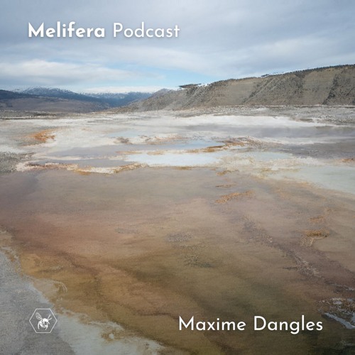 Melifera Podcast ⬡ Maxime Dangles