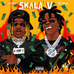 Skala V