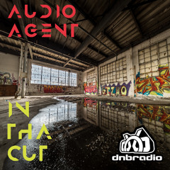 In Tha Cut 195 (DNBRadio 08-03-2025)
