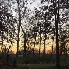 Why do you? (Leave me) demo