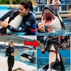 [TRENDING] JESSICA RADCLIFFE QUE LE PASO JESSICA RADCLIFFE VIDEO ORCA ANGRIFF ORCA TÖTET TWITTER