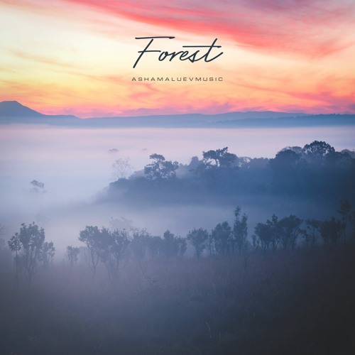 Stream Forest - Beautiful Cinematic Background Music / Inspirational  Orchestral Music (FREE DOWNLOAD) by AShamaluevMusic | Listen online for free  on SoundCloud