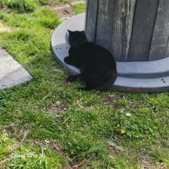 oh boy did i ruin all the fun?