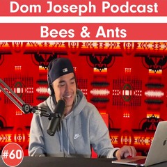 Bees & Ants | Dom Joseph Podcast #60